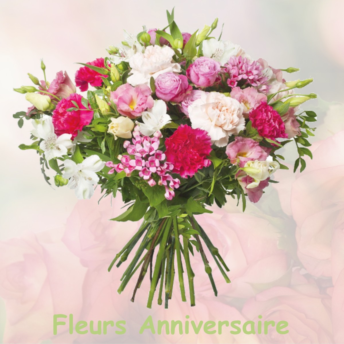 fleurs anniversaire BARON-SUR-ODON